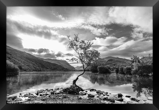 Calm Before the Storm Framed Print by Adrian Burgess