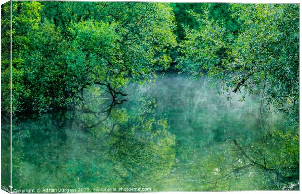Green Mist at Padawn Canvas Print by Adrian Burgess