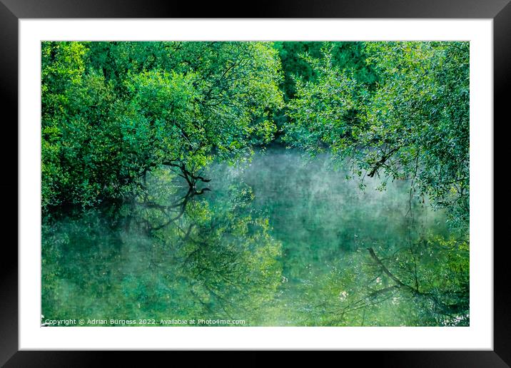 Green Mist at Padawn Framed Mounted Print by Adrian Burgess