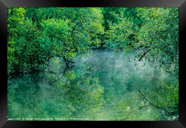Green Mist at Padawn Framed Print by Adrian Burgess