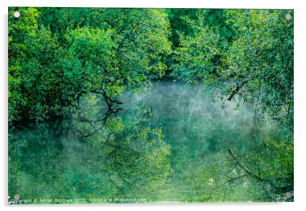 Green Mist at Padawn Acrylic by Adrian Burgess