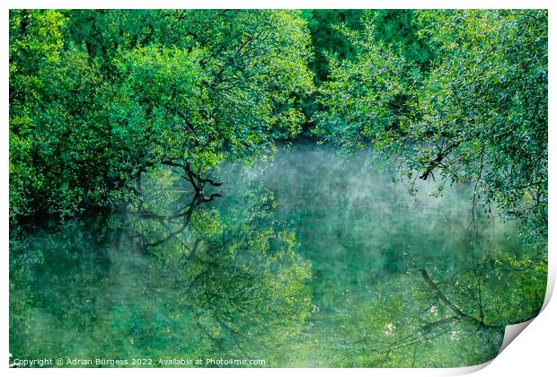 Green Mist at Padawn Print by Adrian Burgess