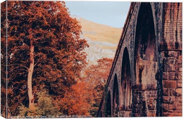 Snowdon Railway Viaduct Bridge Canvas Print by Adrian Burgess