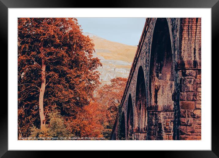 Snowdon Railway Viaduct Bridge Framed Mounted Print by Adrian Burgess