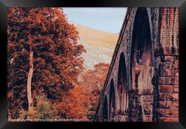 Snowdon Railway Viaduct Bridge Framed Print by Adrian Burgess