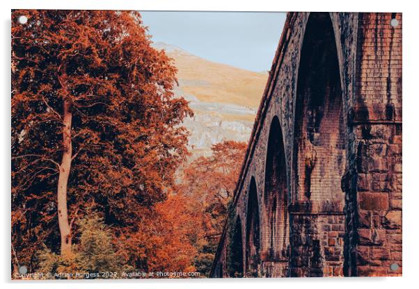 Snowdon Railway Viaduct Bridge Acrylic by Adrian Burgess