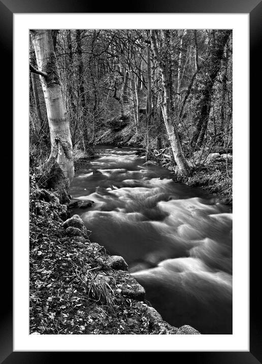 Woodland and Waterfalls at Rivelin Framed Mounted Print by Darren Galpin