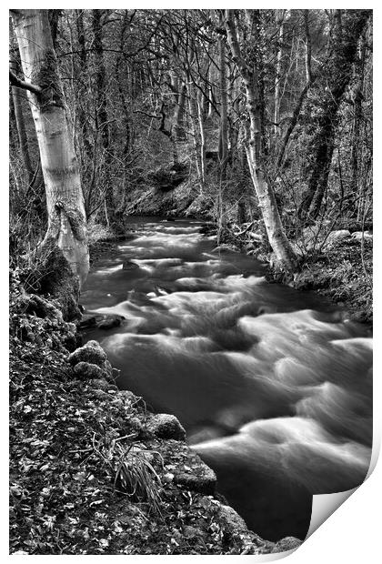 Woodland and Waterfalls at Rivelin Print by Darren Galpin