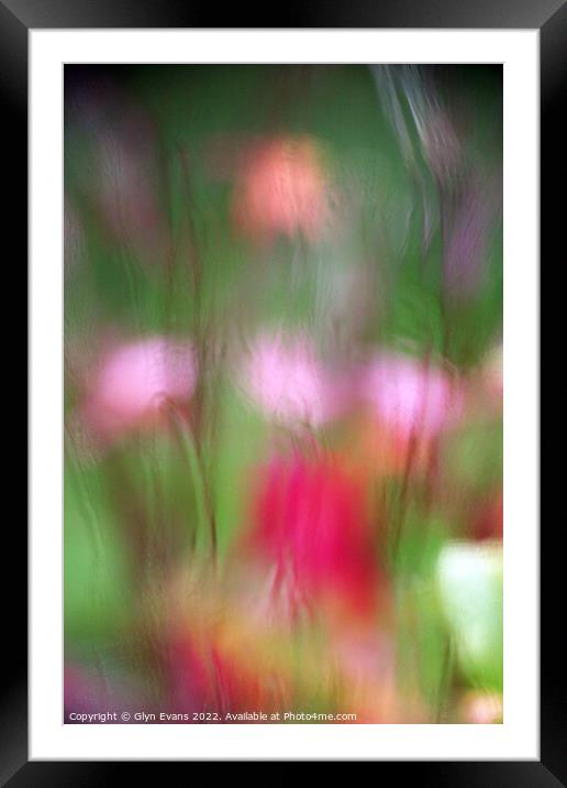 Flowers in the Rain Framed Mounted Print by Glyn Evans