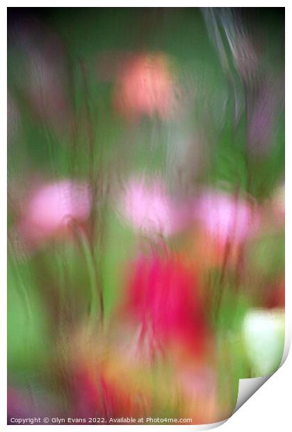 Flowers in the Rain Print by Glyn Evans