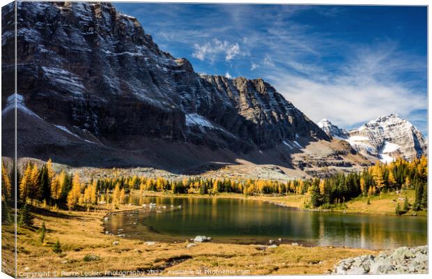 The Golden Larch Trees of Hungabee Lake Canvas Print by Pierre Leclerc Photography