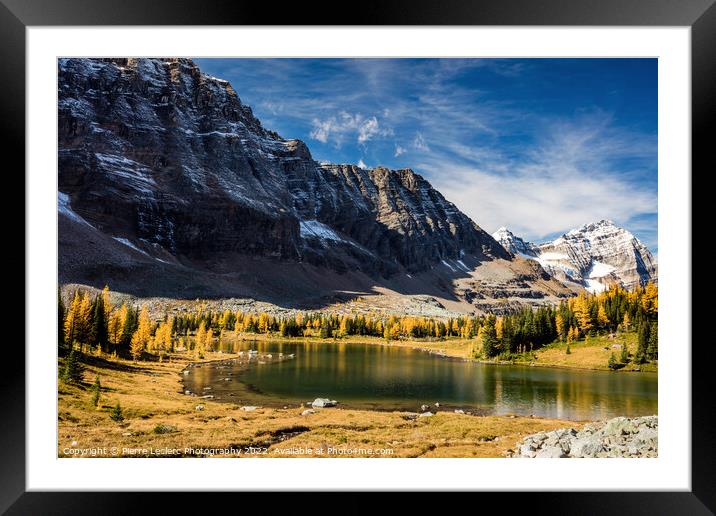 The Golden Larch Trees of Hungabee Lake Framed Mounted Print by Pierre Leclerc Photography