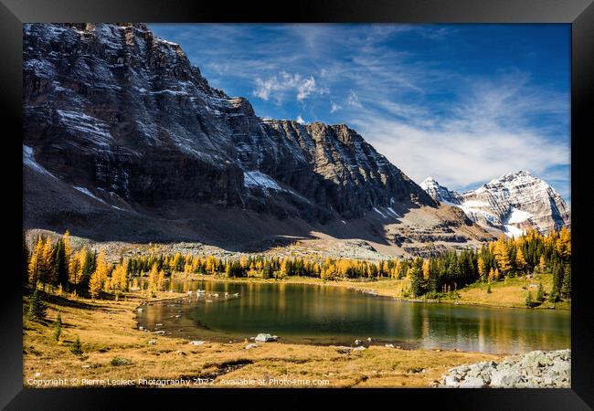 The Golden Larch Trees of Hungabee Lake Framed Print by Pierre Leclerc Photography