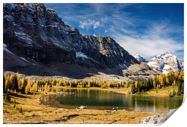 The Golden Larch Trees of Hungabee Lake Print by Pierre Leclerc Photography