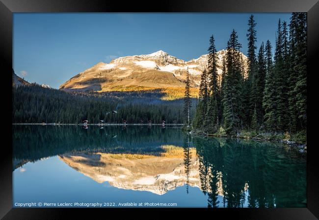 Lake O'Hara Autumn Reflection Framed Print by Pierre Leclerc Photography