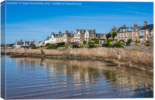 Houses on the seafront at Elie, East Neuk of Fife Canvas Print by Angus McComiskey