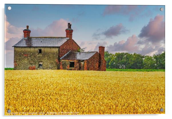 Cornfield cottage Lancashire Acrylic by Phil Longfoot