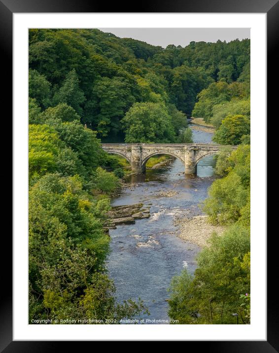 Majestic Beauty of Richmond Bridge Framed Mounted Print by Rodney Hutchinson
