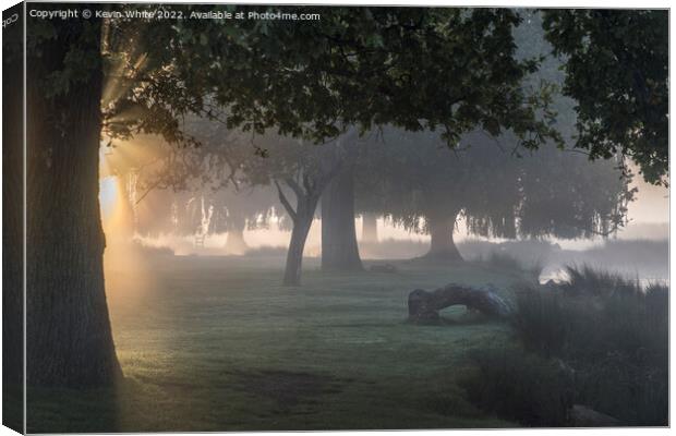 Mist of dreams Canvas Print by Kevin White