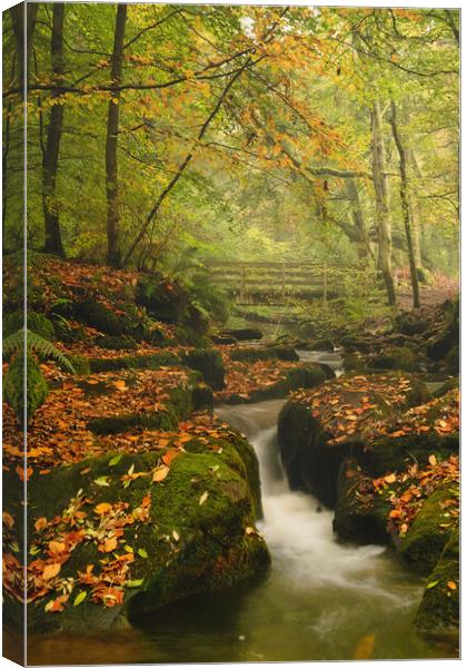 Water Falls at Nant Mill Canvas Print by Liam Neon