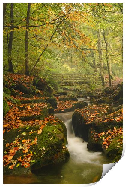 Water Falls at Nant Mill Print by Liam Neon