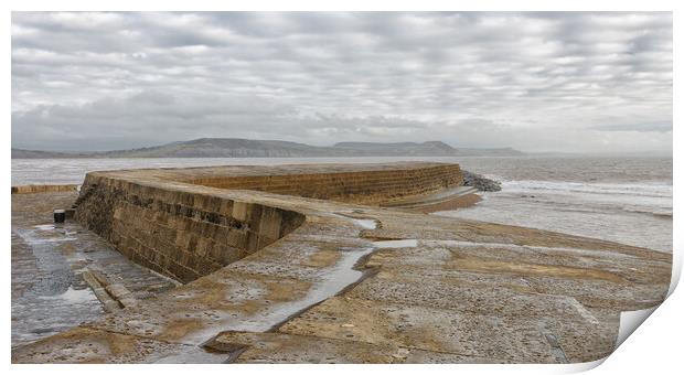 The Cobb Print by Mark Godden