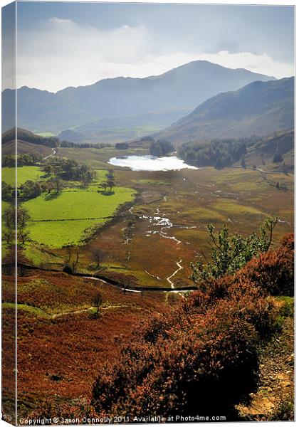 Blea Tarn As Seen From Side Pike Canvas Print by Jason Connolly