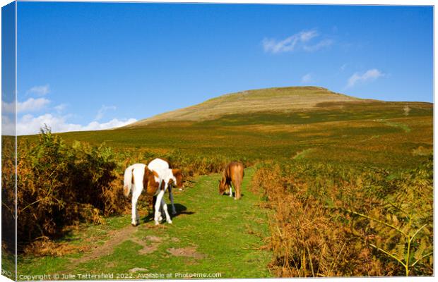 The Sugar Loaf Mountain horse's trail Canvas Print by Julie Tattersfield