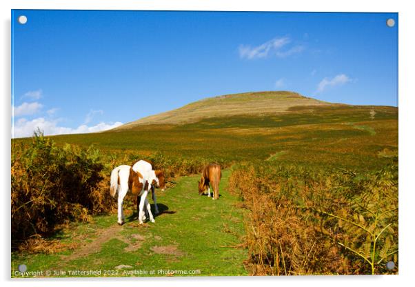 The Sugar Loaf Mountain horse's trail Acrylic by Julie Tattersfield