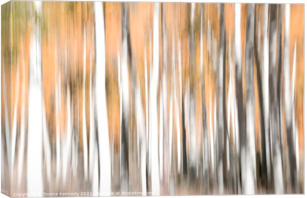 Aspen Illusion Canvas Print by Donna Kennedy