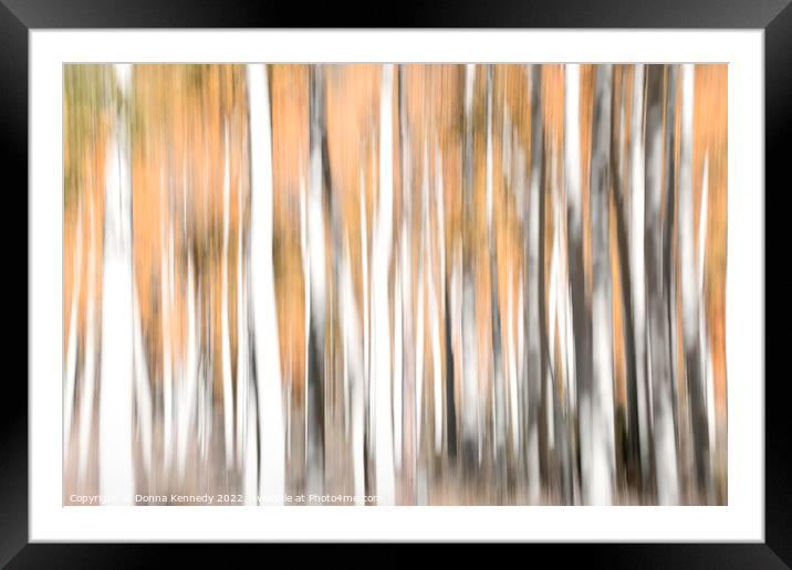 Aspen Illusion Framed Mounted Print by Donna Kennedy