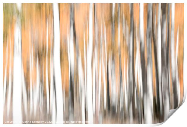 Aspen Illusion Print by Donna Kennedy