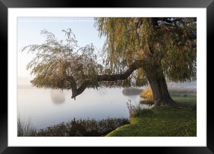 End of summer for Willow tree Framed Mounted Print by Kevin White