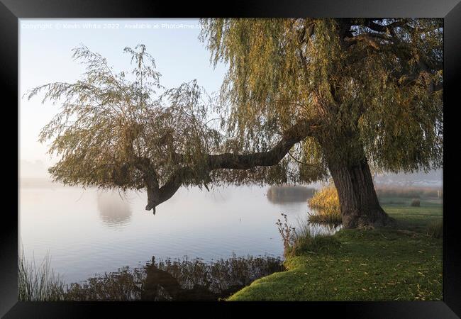 End of summer for Willow tree Framed Print by Kevin White