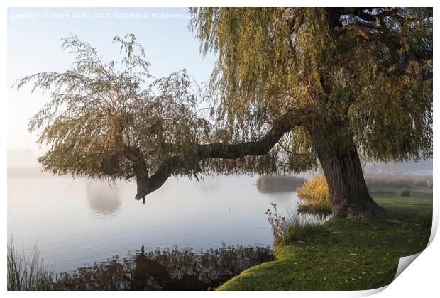 End of summer for Willow tree Print by Kevin White