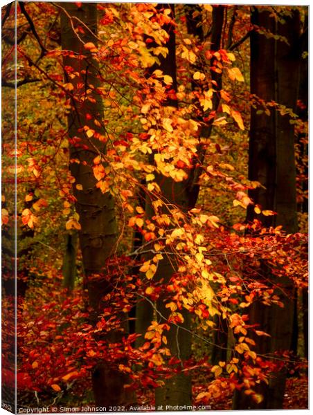 Sunlit autumn leaves  Canvas Print by Simon Johnson
