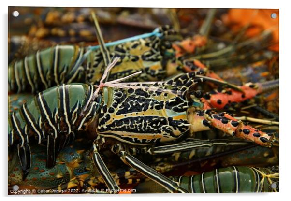 Abstract of colourful lobsters Acrylic by Gabor Pozsgai