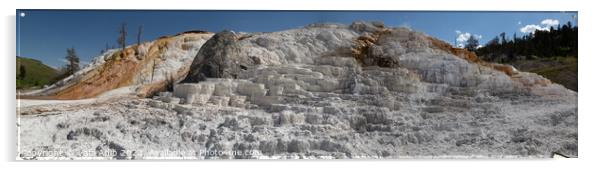 Yellowstone white rocks Acrylic by Vafa Adib