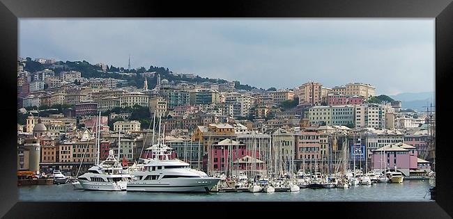 Genoa skyline Framed Print by Tom Gomez