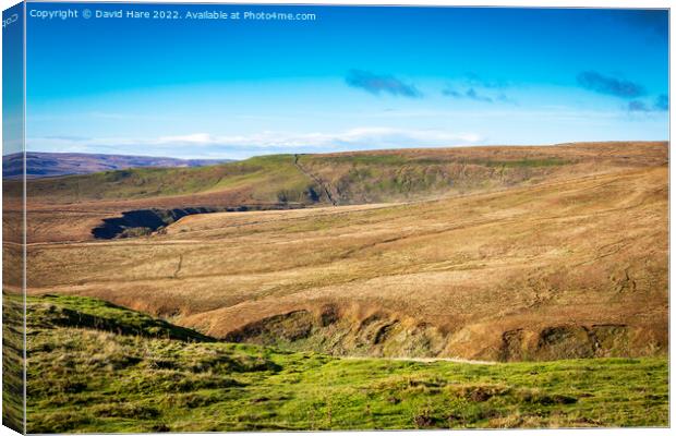 Hawes Moorland Canvas Print by David Hare