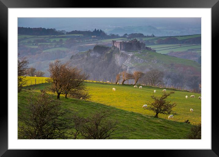 Sheep at Carreg Cennen castle Framed Mounted Print by Leighton Collins
