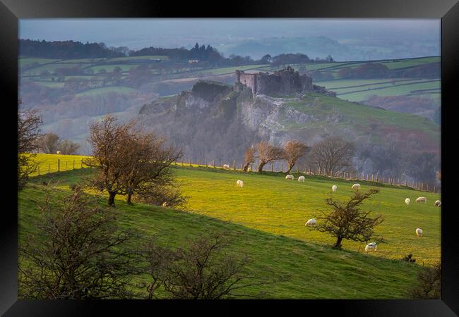 Sheep at Carreg Cennen castle Framed Print by Leighton Collins