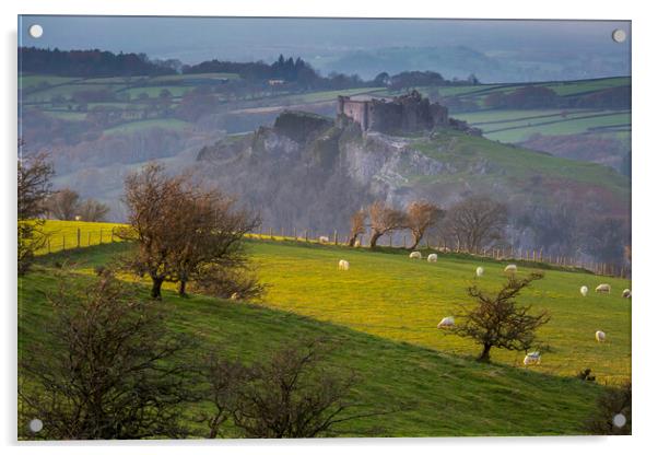 Sheep at Carreg Cennen castle Acrylic by Leighton Collins