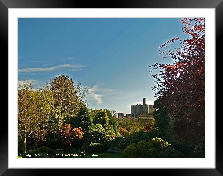 Warkworth Castle from the village Framed Mounted Print by Colin Chipp
