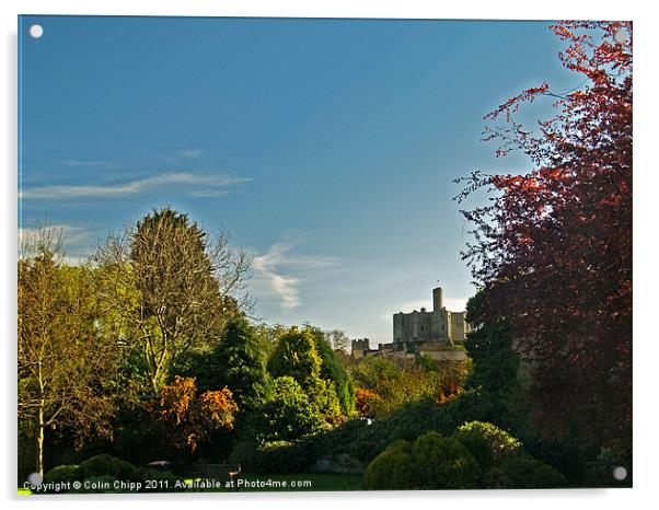 Warkworth Castle from the village Acrylic by Colin Chipp