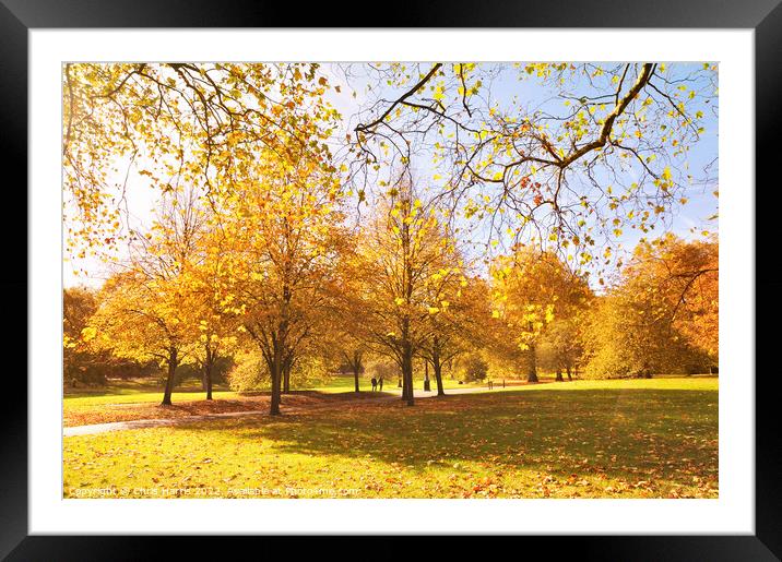 Autumn Love Framed Mounted Print by Chris Harris