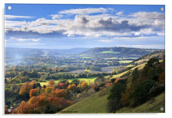 Colley Hill and Surrey Hills   Acrylic by Chris Harris