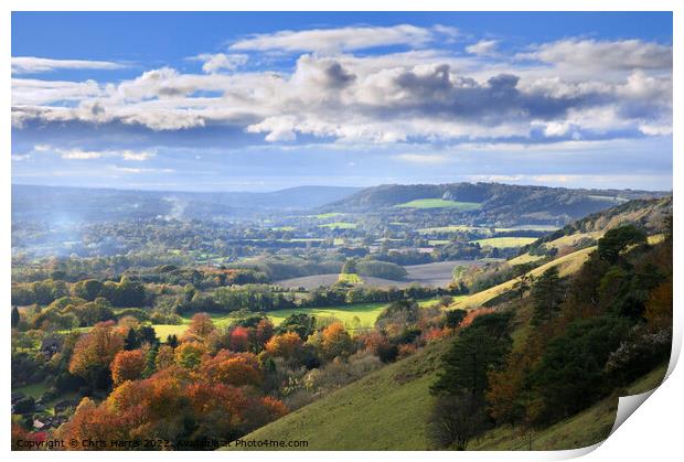 Colley Hill and Surrey Hills   Print by Chris Harris