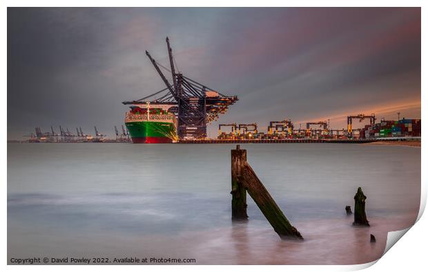 Industrial Sunrise Felixstowe Docks Print by David Powley