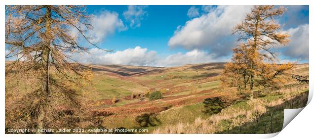 Autumn in the Hudes Hope Panorama Print by Richard Laidler